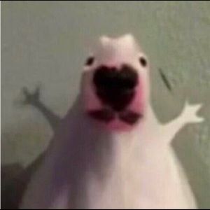 Meet your Posher, Jaclyn